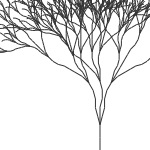 lsystem-predefined2