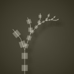 lsystem-rule4